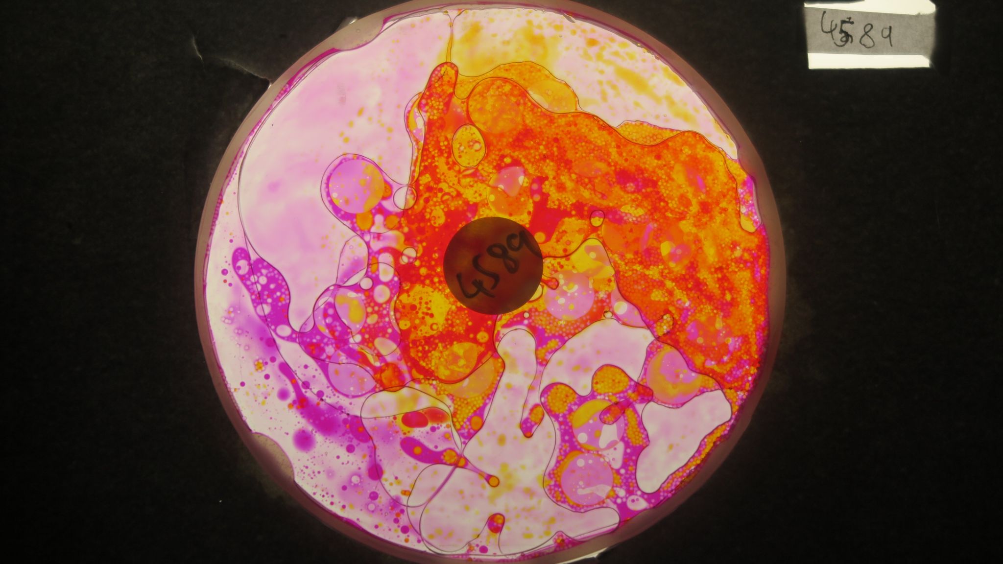 BV4589 bubble vision oil wheel